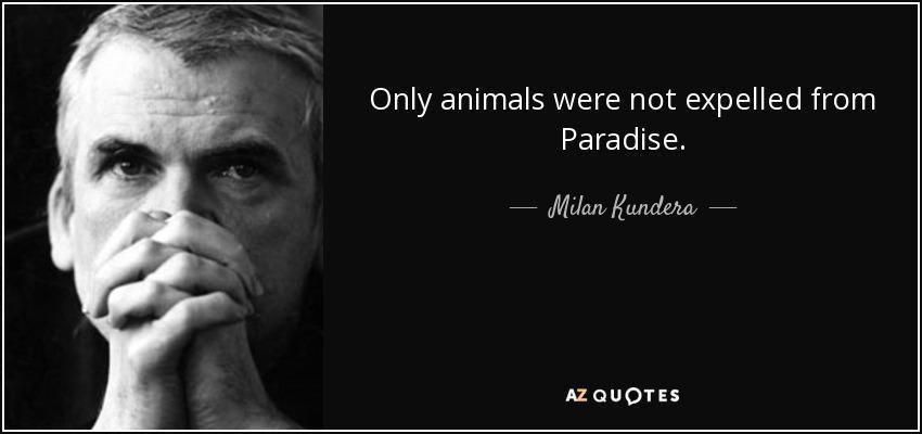 quote only animals were not expelled from paradise milan kundera 64 78 23