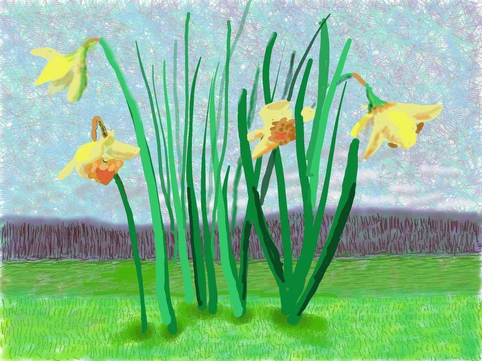 david hockney daffodils spring 32352