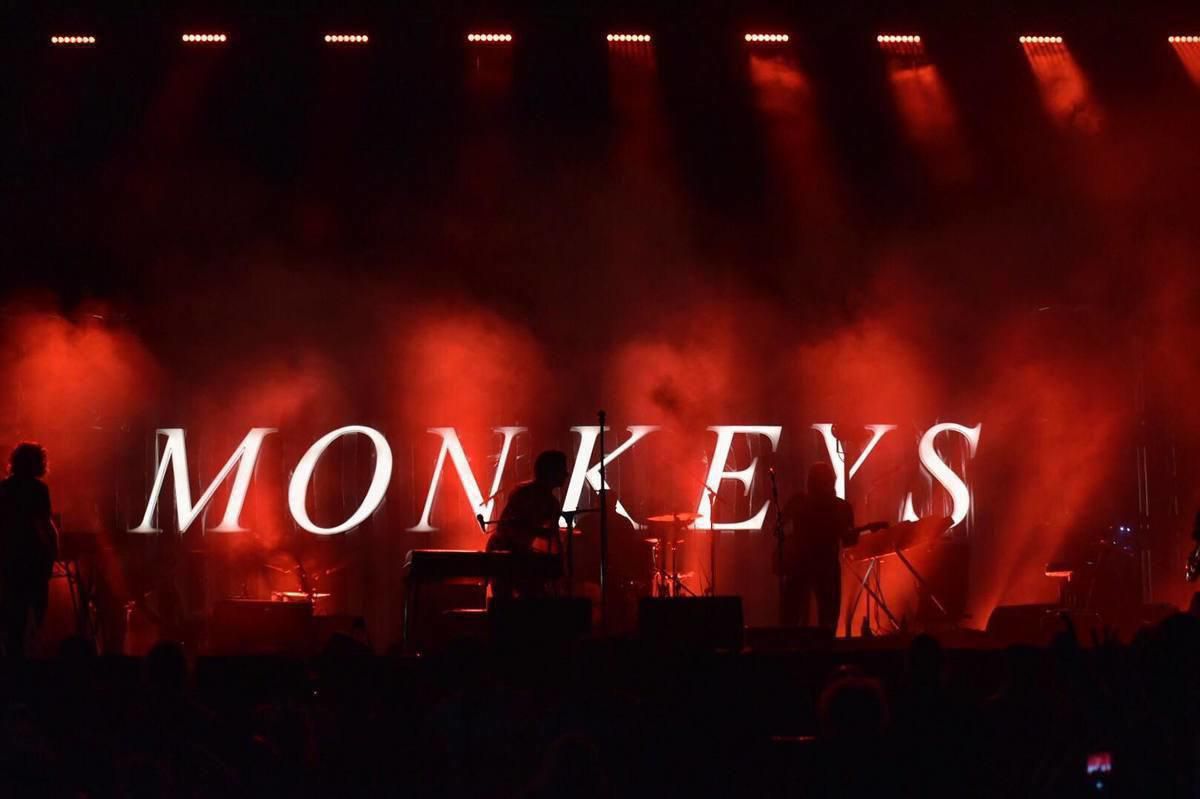 monkeys1
