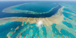 Μισός έχει μείνει ο Μεγάλος Κοραλλιογενής Ύφαλος τα τελευταία 25 χρόνια
