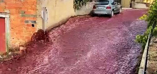 «Μεθυσμένη πολιτεία» στην Πορτογαλία πλημμύρισε με κρασί