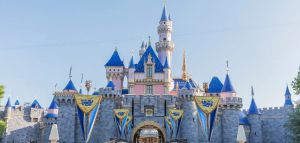 Απίστευτες σκηνές μέσα στη Disneyland: Οικογένειες πιάστηκαν στα χέρια