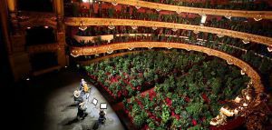 Βαρκελώνη: Έγινε συναυλία με θεατές φυτά