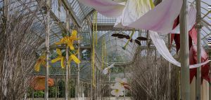 Μαδρίτη: Το  Palacio de Cristal γέμισε γιγαντιαία λουλούδια