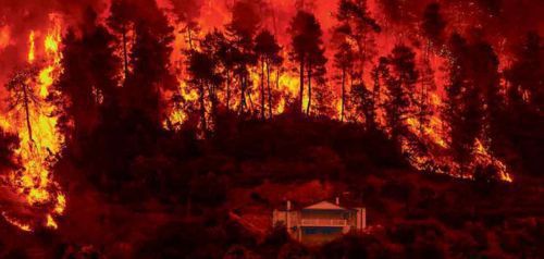 Περισσότερα από 2.800.000 στρέμματα έκαψαν οι 10 πιο ακραίες πυρκαγιές στην Ελλάδα