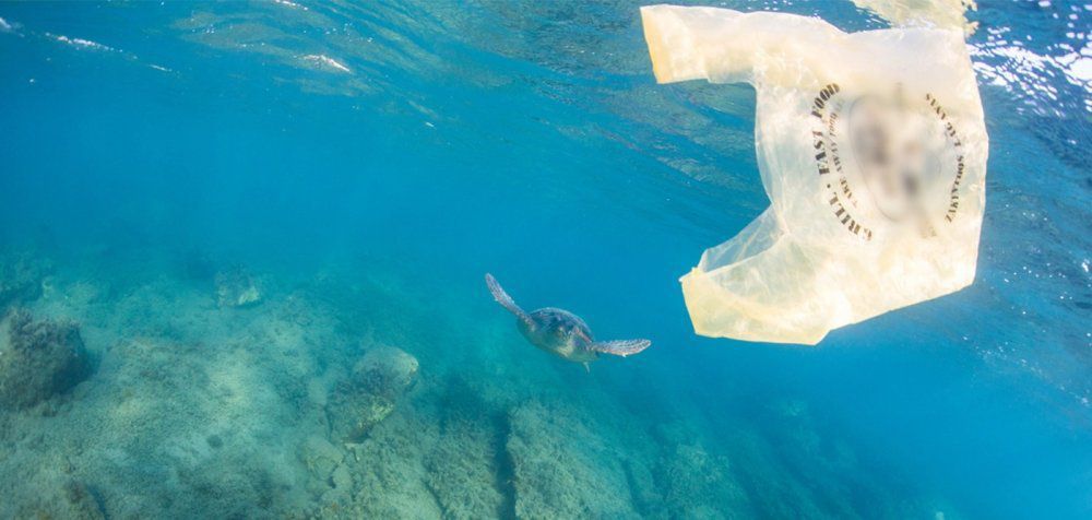 Το 2050 στη θάλασσα θα υπάρχουν περισσότερα πλαστικά από ότι ψάρια
