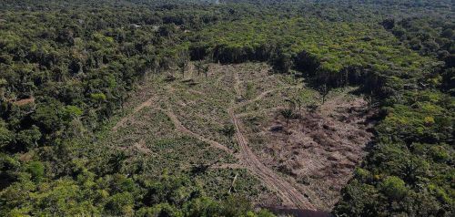 Κινδυνεύει το ένα τρίτο του δάσους του Αμαζονίου από την ανθρώπινη δραστηριότητα