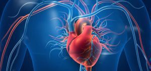 Πρωτοποριακές κυτταρικές και γονιδιακές θεραπείες των καρδιαγγειακών παθήσεων