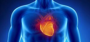 Οι πιο πολλές καρδιοαγγειακές νόσοι οφείλονται στον τρόπο ζωής, όχι στα γονίδια