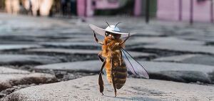 Μια μέλισσα, σταρ του Instagram!