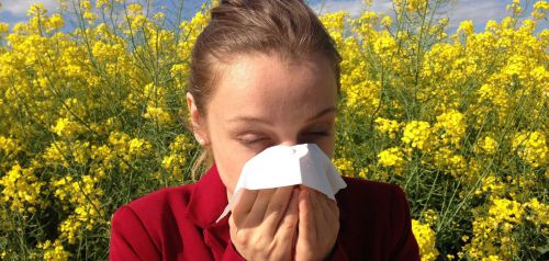 Αλλεργίες: Πότε μπορούν να γίνουν επικίνδυνες