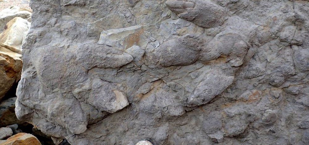 Ανακαλύφθηκαν στη Βρετανία πατημασιές δεινοσαύρων 100 εκατομμυρίων ετών