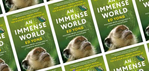 «An Immense World»: Ταξίδι στον κόσμο των ζώων