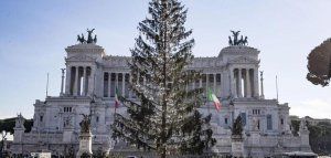 Το Χριστουγεννιάτικο δέντρο της Ρώμης προκαλεί σάλο στην Ιταλία