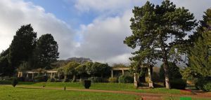 Λίβερπουλ: Ένας κήπος αφιερωμένος στον Τζορτζ Χάρισον