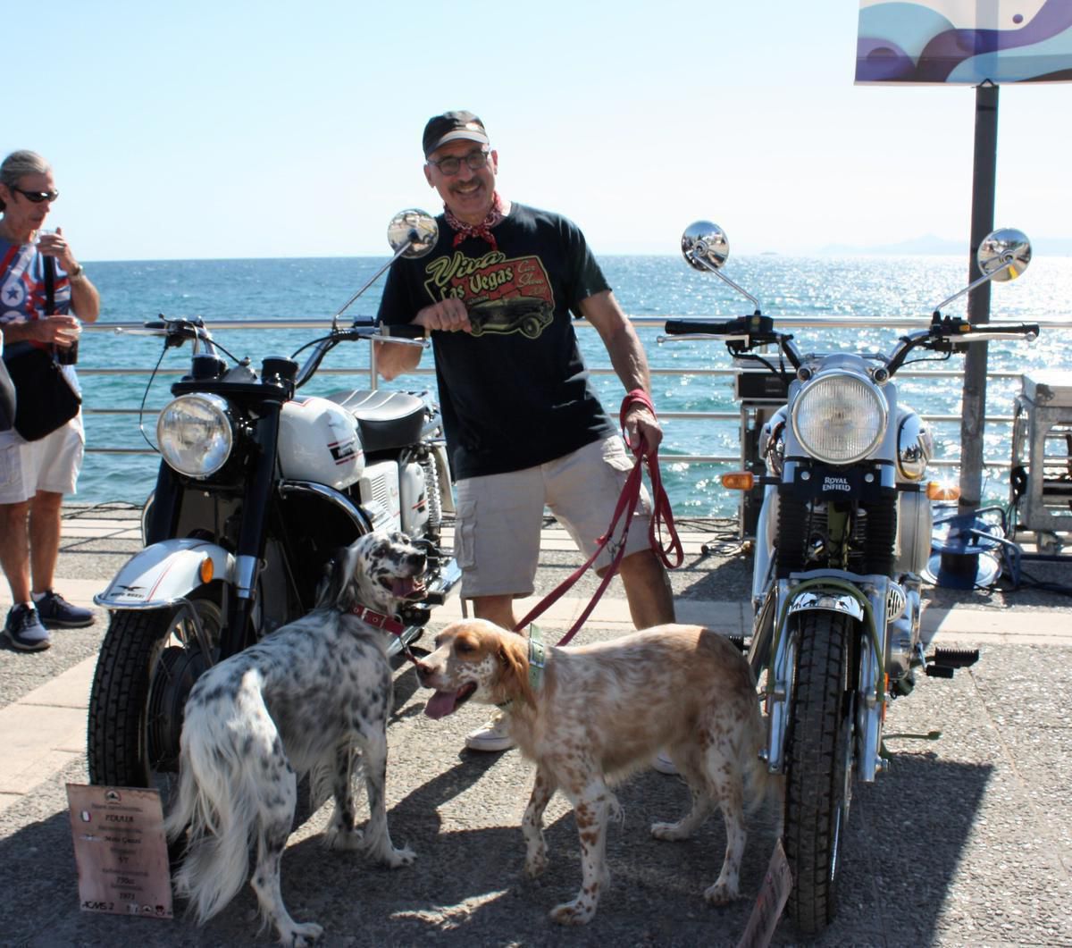 307301583 VAVOURAS AND DOGS