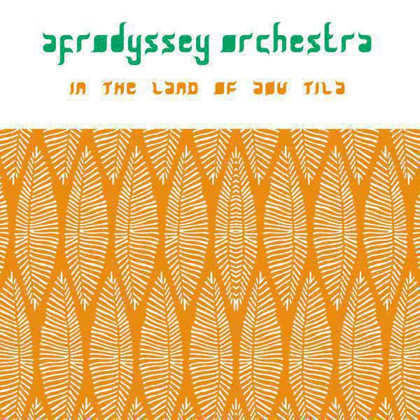 35.Afrodyssey Orchestra In The Land Of Aou Tila