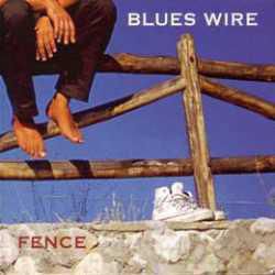 86.Blues Wire Fence