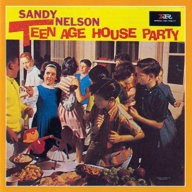 Sandy Nelson cover