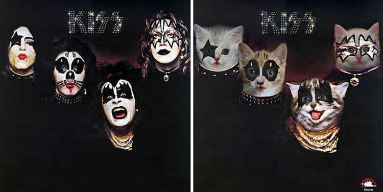 kitten-album-covers-12.jpg