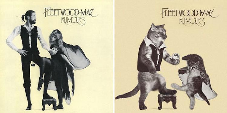 kitten-album-covers-21.jpg