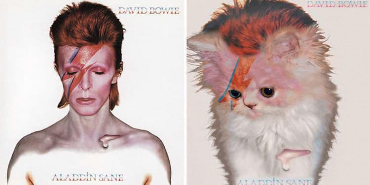 kitten-album-covers-3.jpg