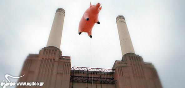 Pink Floyd – The famous Pig from “Animals” is flying again!