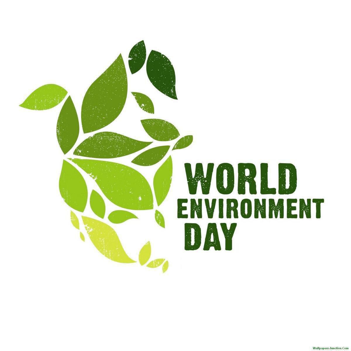 world environment day wallpapers environmental awareness nature green savelife pollution clean 05