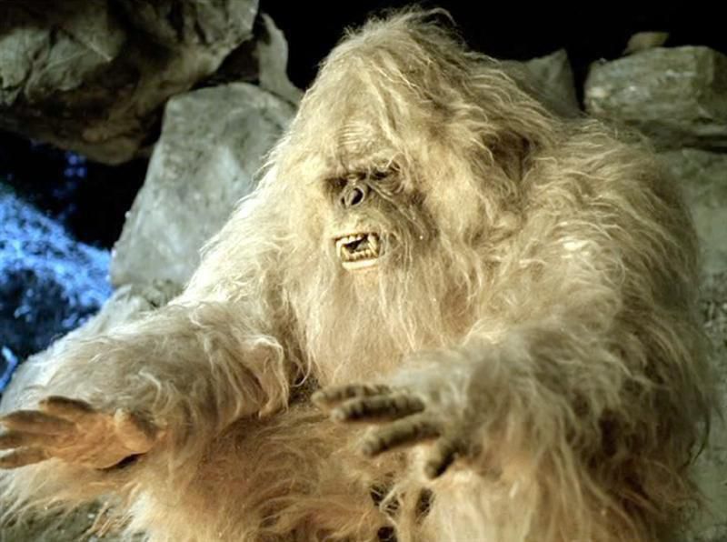 Scientists claim Yeti is actually a bear found in Himalayas