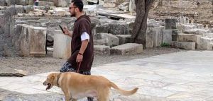 Ζώα συντροφιάς: Επιτρέπεται η είσοδος σε 120 αρχαιολογικούς χώρους