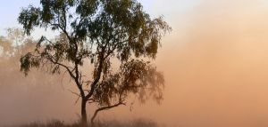 Τι προκαλεί στην υγεία μας η Αφρικανική σκόνη
