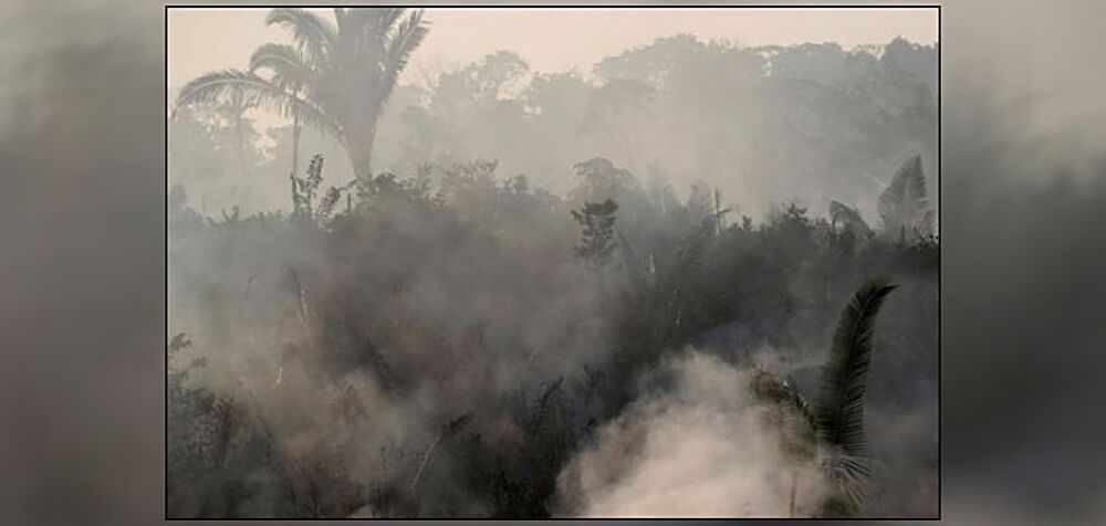 Αμαζόνιος: Εικόνες από την καταστροφή του δάσους