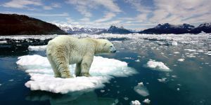 Ανησυχητικός ο ρυθμός εξαφάνισης των πάγων στον πλανήτη