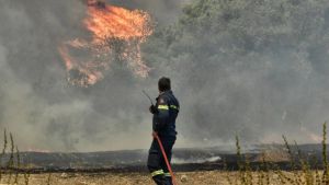 Φωτιές στη Μαγνησία - Η κατάσταση σε Ρόδο και Κέρκυρα