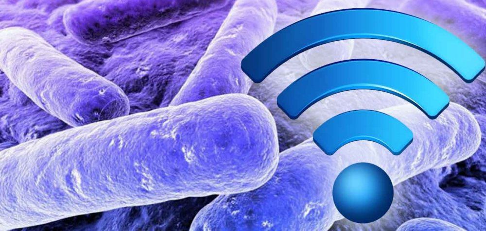 Το wi-fi που καταπολεμά λοιμώξεις και μικρόβια!