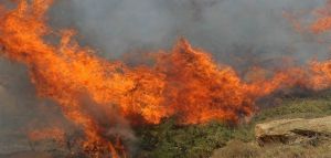 Μεγάλη πυρκαγιά κατακαίει την Αλεξανδρούπολη