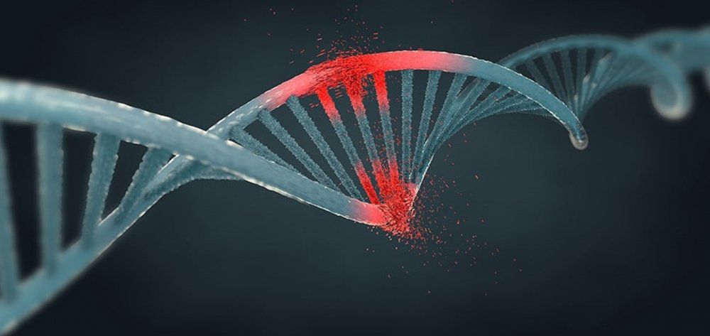 Νέα στοιχεία για σύνδεση DNA και καρκίνου