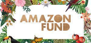 Ταμείο για την κλιματική αλλαγή ύψους 2 δισ. δολαρίων από την Amazon