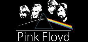 Νέο είδος ροζ γαρίδας «βαφτίζεται» από τους Pink Floyd