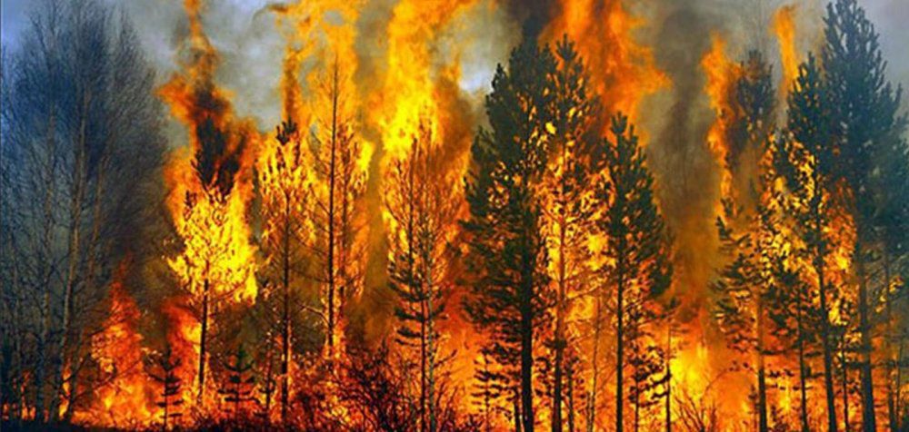 Η υπερθέρμανση του πλανήτη, καταλύτης των δασικών πυρκαγιών!