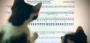 Απολαύστε το «Αστείο ντουέτο για δύο γάτες» του Rossini