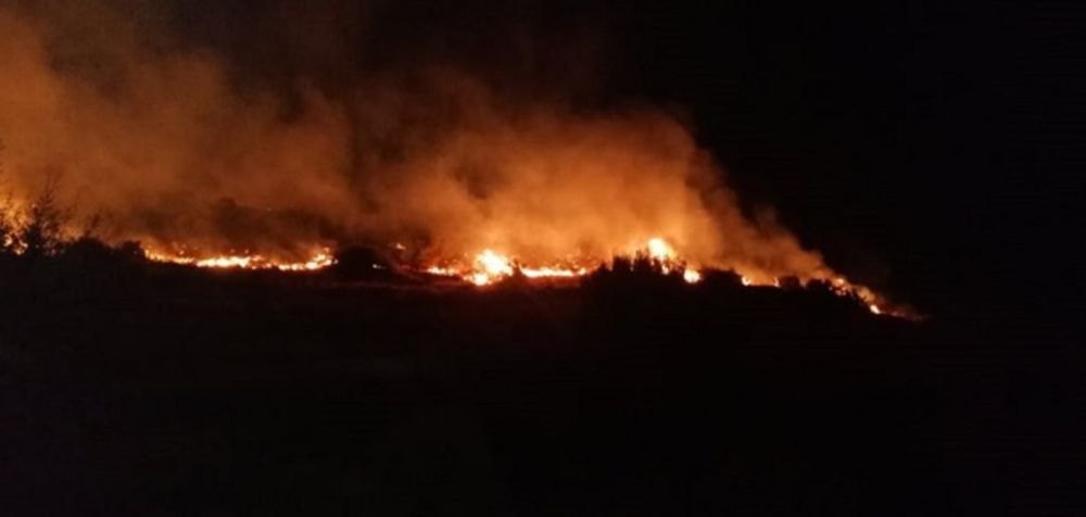 Ανεξέλεγκτη η φωτιά σε δασική έκταση στην περιοχή Λιβαδάκι της Ηλείας