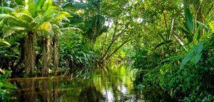 Αμαζόνιος: Θέμα κεντρικής και παγκόσμιας σημασίας