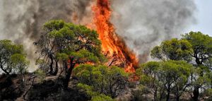 Μαίνεται η φωτιά στη Ρόδο - Χωρίς μέτωπο η Δυτική Αττική