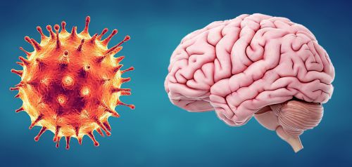 Συρρίκνωση και ατροφία του εγκεφάλου μπορεί να επιφέρει η νόσηση από κορονοϊό