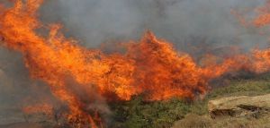 Αλεξανδρούπολη: Η πιο καταστροφική φωτιά σε όλη την Ευρώπη