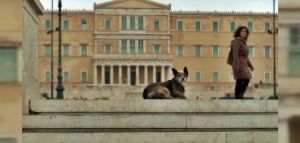 Οι «Άγνωστοι Αθηναίοι», μια ταινία για τις αδέσποτες βόλτες των πιστών φίλων μας
