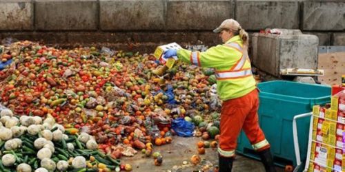 142 κιλά τρόφιμα το χρόνο, πετάει στα σκουπίδια ο κάθε Έλληνας